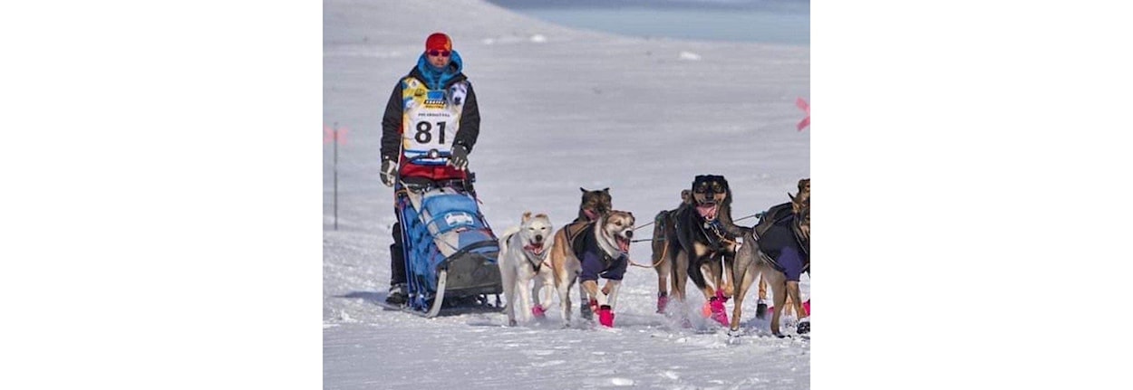 Langdistanse: Finnmarksløpet 2026